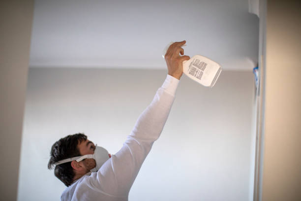 Best Black Mold Remediation in North Beach Haven, NJ