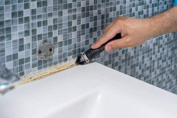 Best DIY Mold Remediation Support Services in North Beach Haven, NJ