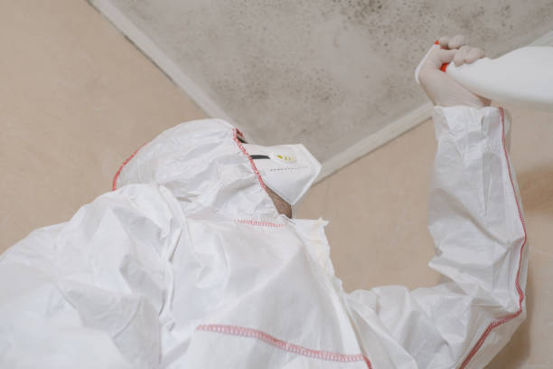 Best Mold Remediation for Schools in North Beach Haven, NJ